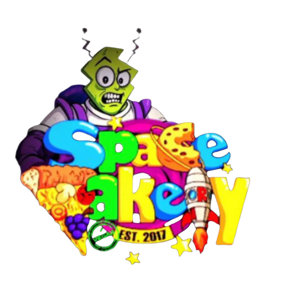 spacevakeryplanet.store